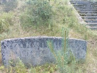 IMG_20260710_113945.jpg
