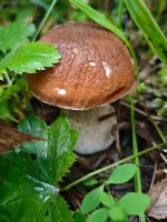 IMG_20260829_081422.jpg