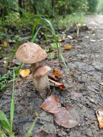 IMG_20260829_082921.jpg
