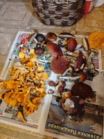 IMG_20260919_152039.jpg