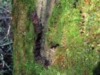 060909 023.jpg (422.09 КБ) 12512 просмотров 060909 023.jpg