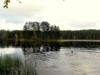 IMG_2418.JPG