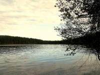 IMG_2315.JPG