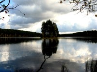 IMG_0842.JPG