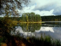 IMG_0830.JPG