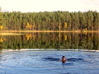 IMG_2464.JPG