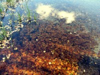 IMG_2461.JPG