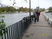 S7300274_resize.JPG