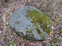 DSC01192.JPG