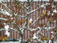 S7300293_resize.JPG (206.05 КБ) 12499 просмотров S7300293_resize.JPG