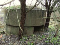 DSCF2146.jpg