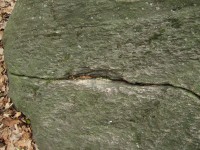 DSCF2379.jpg