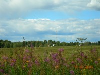 DSCN0671.JPG (173.26 КБ) 9018 просмотров DSCN0671.JPG