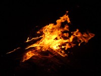 DSC01323.JPG (43.82 КБ) 9763 просмотра DSC01323.JPG