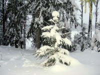 IMG_3127.JPG