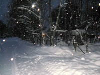 IMG_3121.JPG