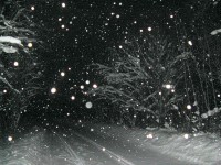 IMG_3115.JPG