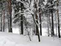 IMG_3161.JPG