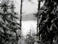 IMG_3149.JPG