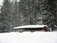 IMG_3175.JPG