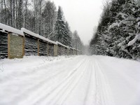 IMG_3169.JPG