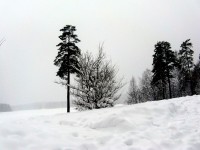 IMG_3165.JPG