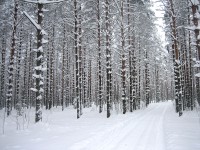 IMG_2491.jpg