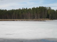 IMG_0401.jpg (47.56 КБ) 3752 просмотра IMG_0401.jpg