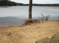 IMG_0397.jpg (69.37 КБ) 3763 просмотра IMG_0397.jpg