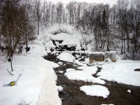 DSC01247.JPG