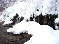 DSC01259.JPG