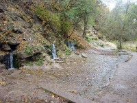 DSC00664.JPG