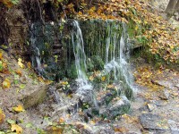 DSC00638.JPG
