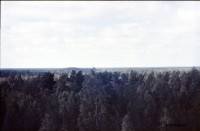 45km-2.jpg