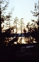 Pastorskoe 1.jpg (133.72 КБ) 12016 просмотров Pastorskoe 1.jpg