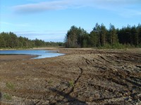 S5000173.JPG (735.3 КБ) 11807 просмотров S5000173.JPG