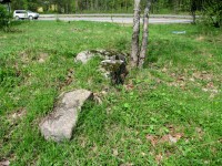 Image 066_resize.jpg