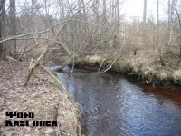 Копия (2) IMG_4880.JPG (85.97 КБ) 11984 просмотра Копия (2) IMG_4880.JPG