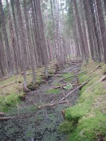 IMGP0104.jpg