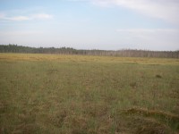 IMGP0070.JPG