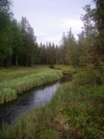IMGP0068.JPG