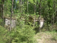 IMGP0039.JPG