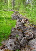 SDC11110.JPG