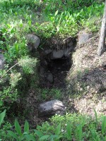 SDC11762.jpg