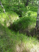 SDC11752.jpg