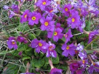 015.jpg (150.15 КБ) 4444 просмотра 015.jpg