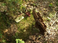 DSCF73411.jpg