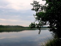 IMG_3951.JPG
