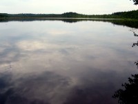 IMG_3942.JPG