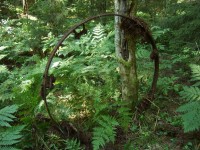 DSCF7372.JPG